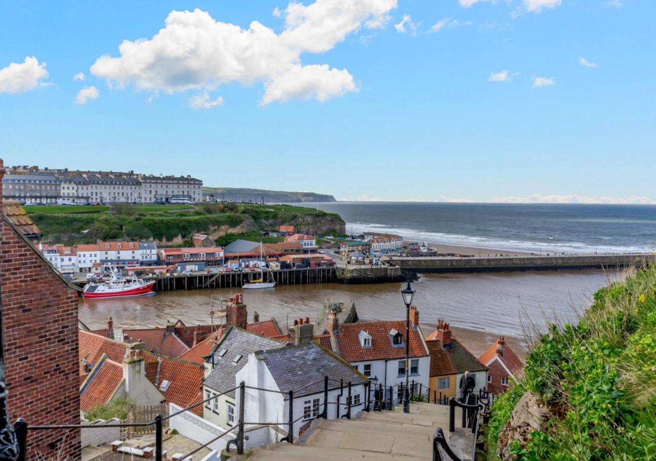 Cormorant Whitby